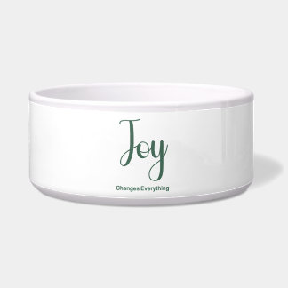 Joy Changes Everything