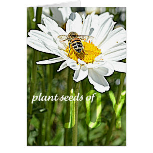 Joy Daisy Card