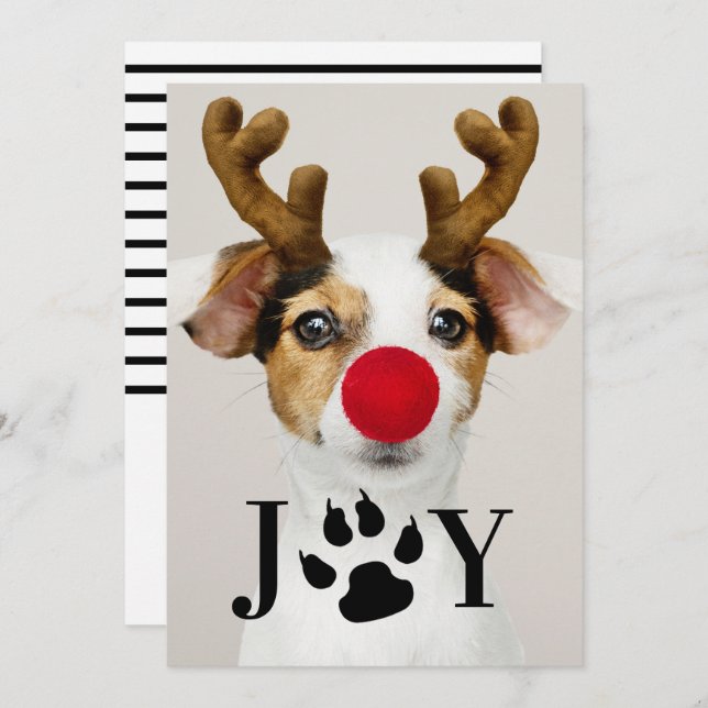 Joy Dog Paw Print Christmas Photo Card (Front/Back)