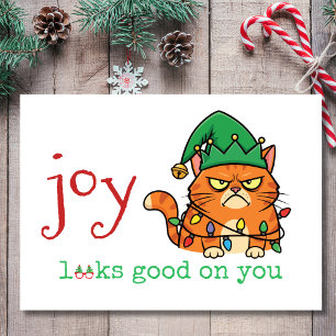 Joy Looks Good on You Annoyed Christmas Cat Holiday Card