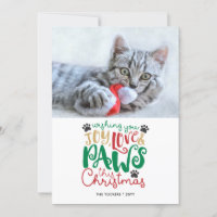 Joy Love Paws Pet Cat Christmas Photo