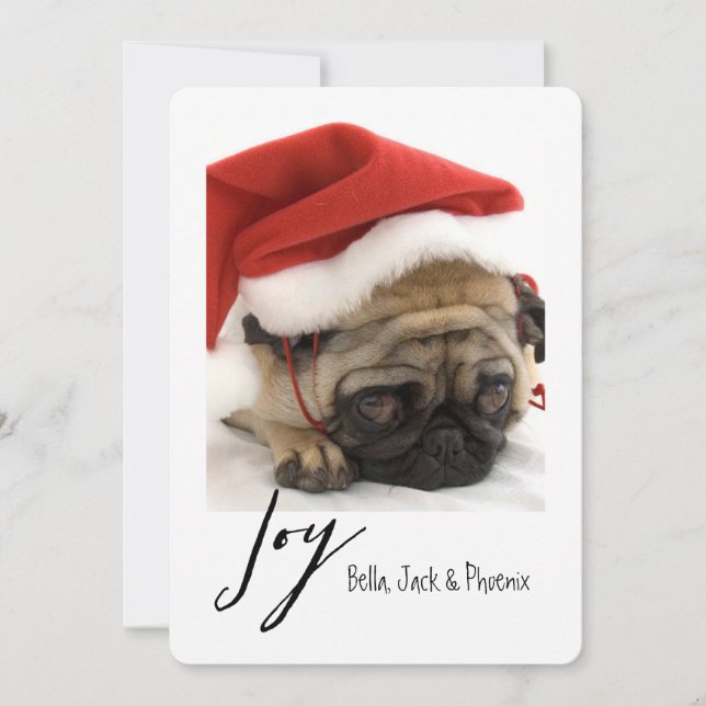 Joy Modern Pet Holiday Card (Front)