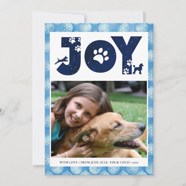 JOY Paws | Pet Lovers Snowflakes In Baby Blue Holiday Card (Front)