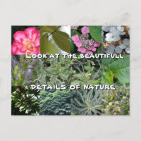 joy text flower green leaf spring