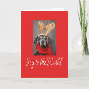 Joy to the world holiday card