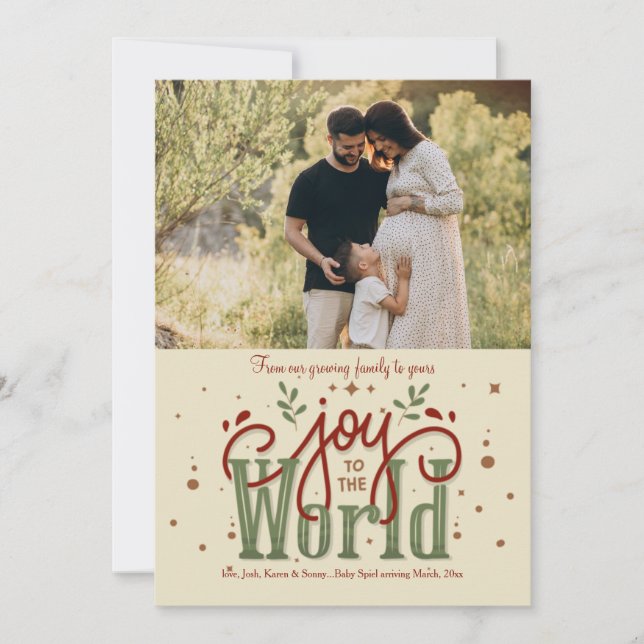 Joy To The World Photo Holiday Card (Front)