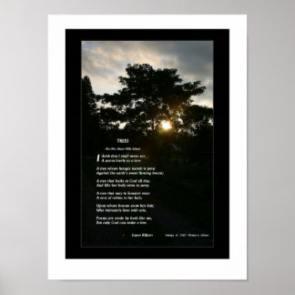 Joyce Kilmer poem "Trees" poster with trees photo