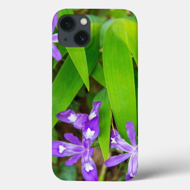 Joyce Kilmer-Slickrock Wilderness 2 Case-Mate iPhone Case (Back)