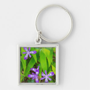 Joyce Kilmer-Slickrock Wilderness 2 Key Ring