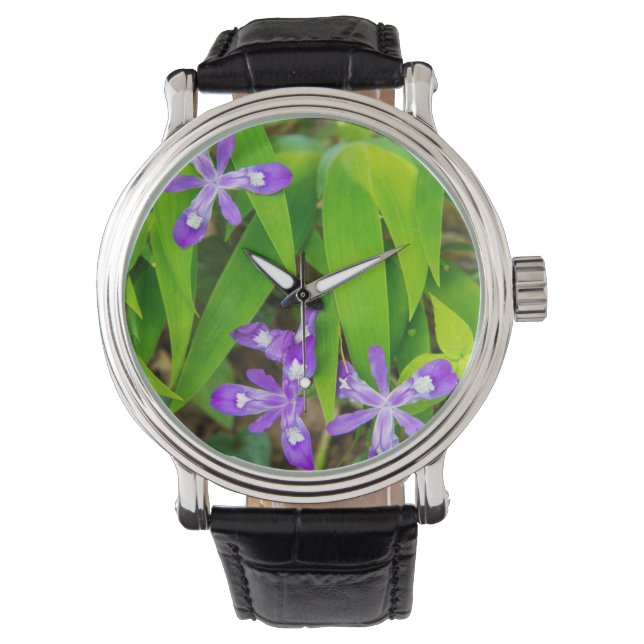 Joyce Kilmer-Slickrock Wilderness 2 Watch (Front)