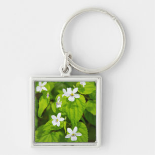 Joyce Kilmer-Slickrock Wilderness Key Ring