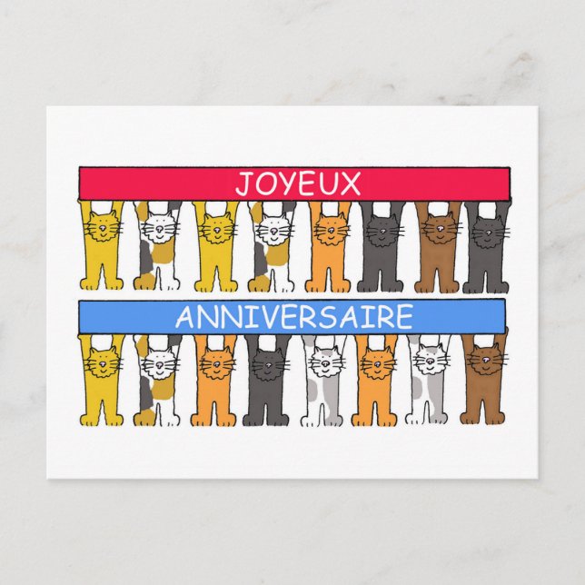 Joyeux Anniversaire French Happy Birthday Postcard (Front)