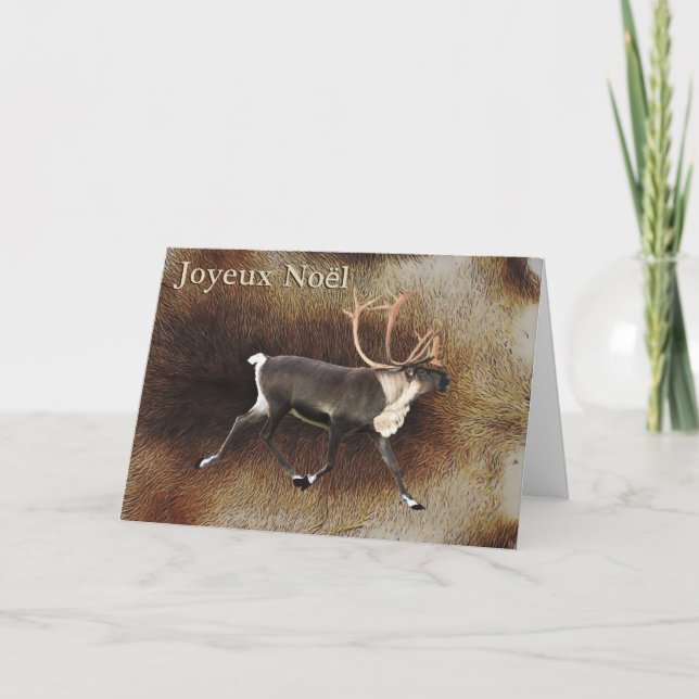 Joyeux Noёl - Bull Caribou (Reindeer) Holiday Card (Front)