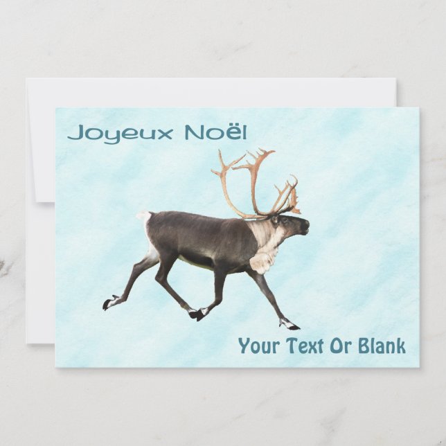 Joyeux Noёl - Caribou (Reindeer) On Snow  (Front)