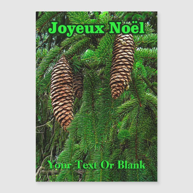 Joyeux Noёl - Cones And Needles (Front)