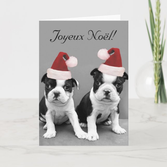 Joyeux Noël Boston Terriers greeting card (Front)
