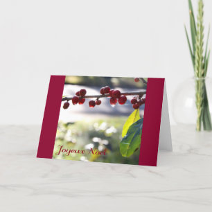 Joyeux Noel Greeting Card