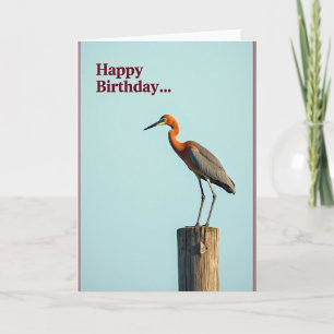 Joyful Birthday Avian Grace Card