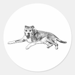 Joyful Break, Sprawled Content Classic Round Sticker