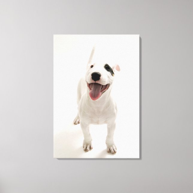 Joyful Bull terrier Canvas Print (Front)