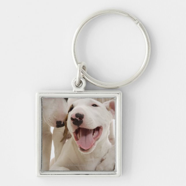 Joyful Bull terriers Key Ring (Front)