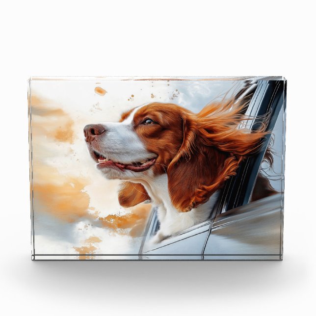 Joyful Dog in the Wind Art Print Photo Block (Front)