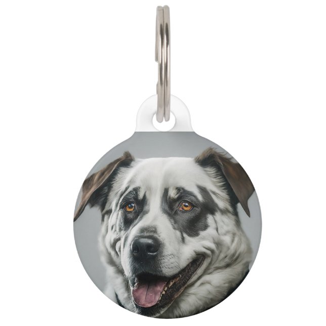 Joyful dog pet tag (Back)