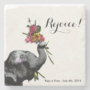 Joyful Elephant - Live for the Day! Stone Coaster