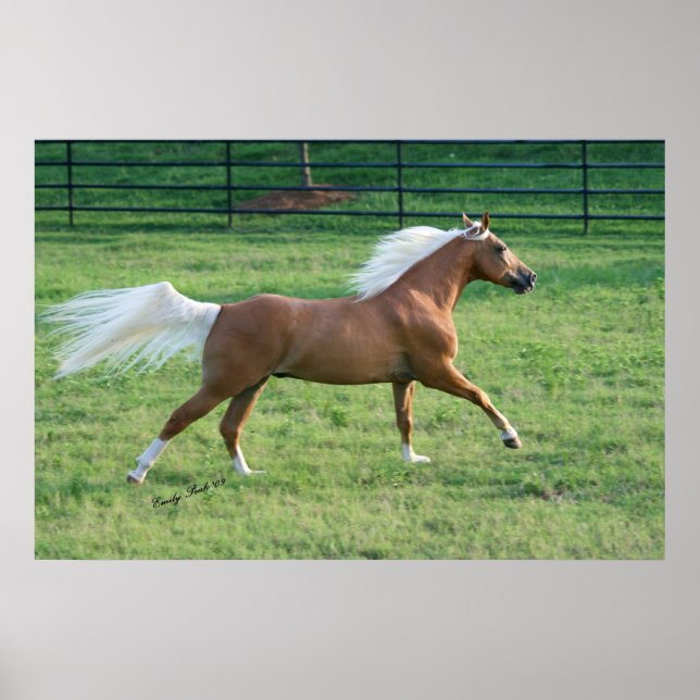 Joyful Freedom Poster (Front)