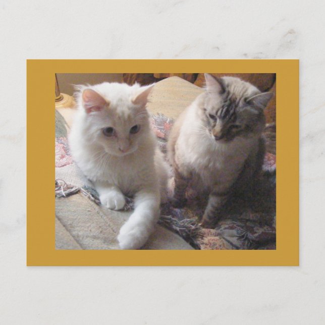 Joyful friends postcard (Front)