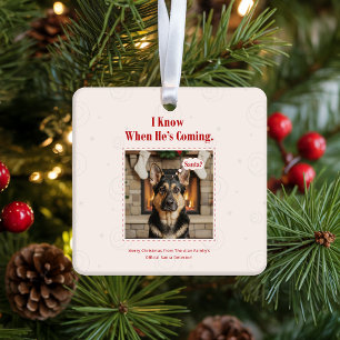 Joyful Funny Dog Pet Photo Christmas Holiday Ceramic Ornament