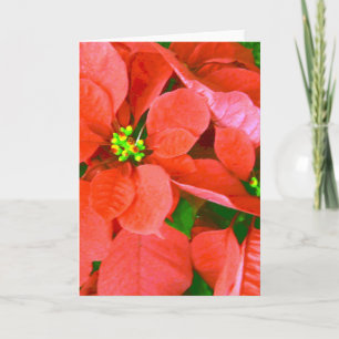 Joyful Holidays_ Holiday Card