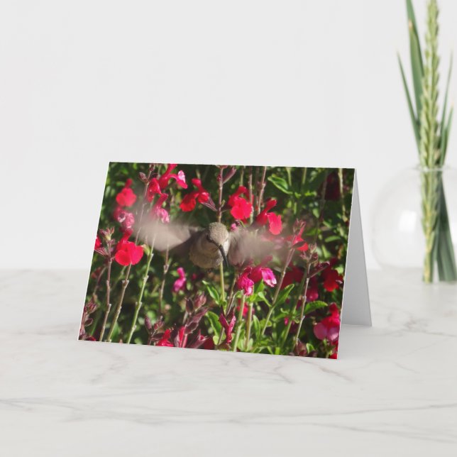 Joyful Hummingbird Greeting Card (Front)