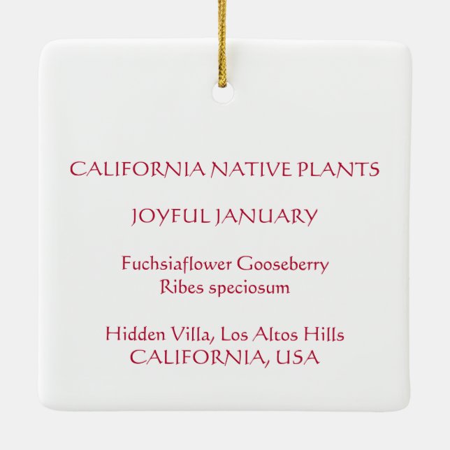 JOYFUL JANUARY CERAMIC ORNAMENT (Back)