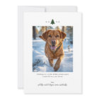 Joyful Minimalist Holiday Photo