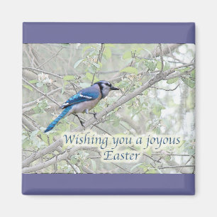 Joyous Easter Blue Jay Songbird Magnet
