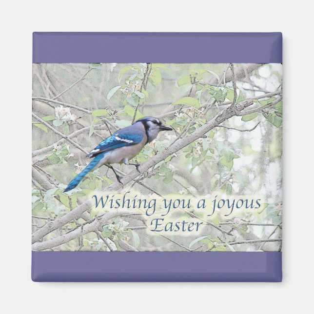 Joyous Easter Blue Jay Songbird Magnet (Front)
