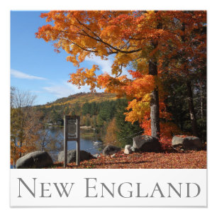 Joys of Autumn Photo Print
