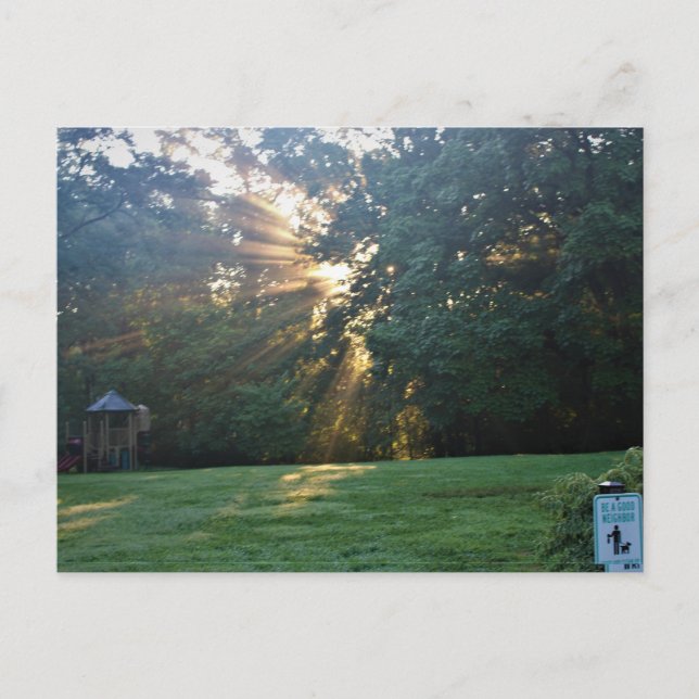 JPD Art 3 Invitation Postcard (Front)