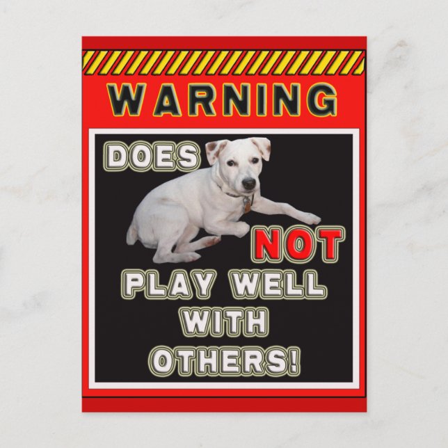 JRT WARNING - DOES NOT PLAY WELL WITH OTHERS! POSTCARD (Front)