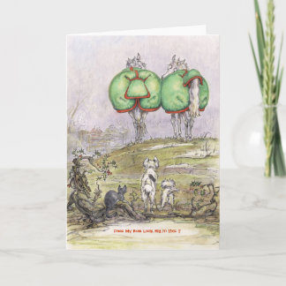 JT24 judetoo Card