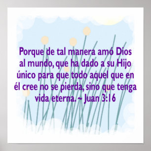 Juan 3:16 poster