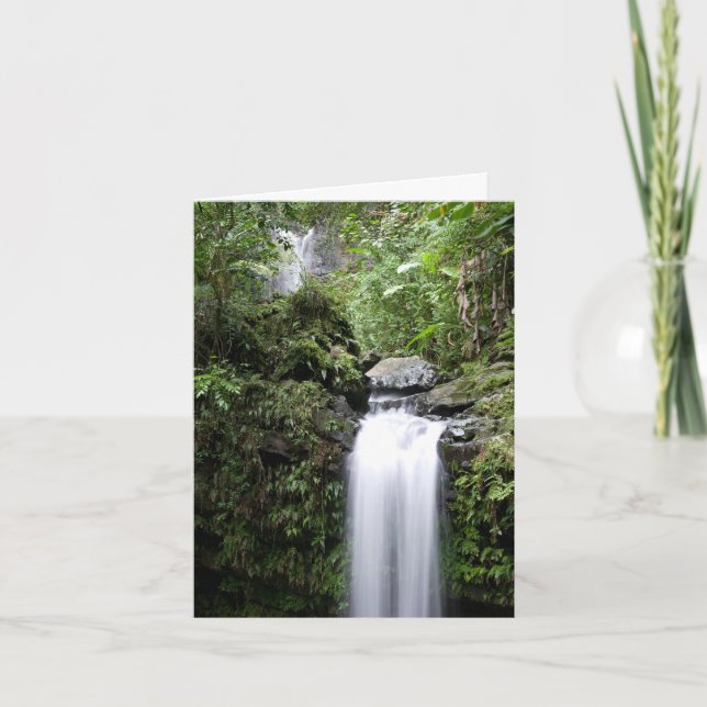 Juan Diego Falls Thank You Card (Front)