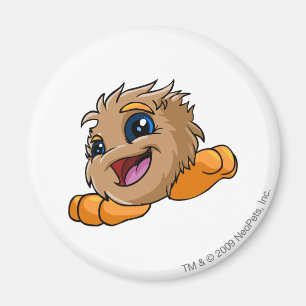 JubJub Brown Magnet