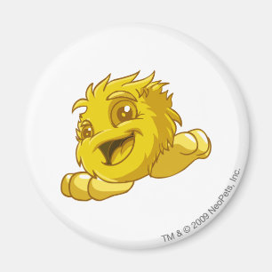 JubJub Gold Magnet