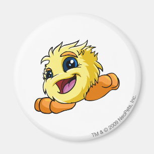 JubJub Yellow Magnet