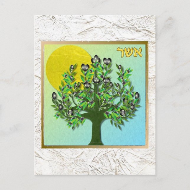 Judaica 12 Tribes Israel Asher Postcard (Front)