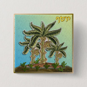 Judaica 12 Tribes Israel Joseph 15 Cm Square Badge