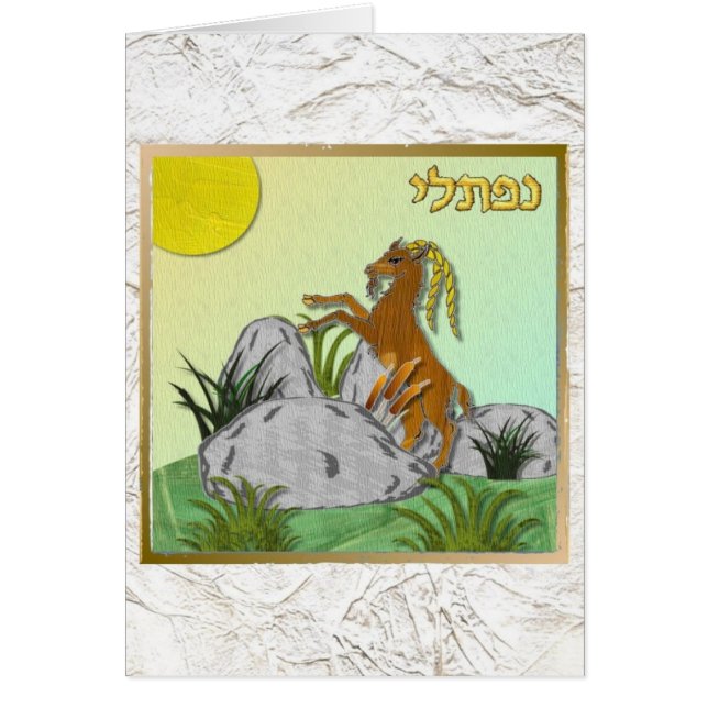 Judaica 12 Tribes Israel Naphtali (Front)