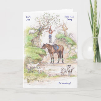 JudeToo JT33 Card